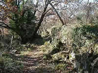 Luberon Vaucluse Provence 