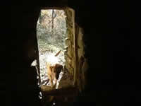 Luberon Vaucluse Provence 