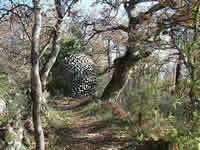 Luberon Vaucluse Provence 