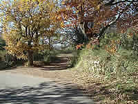 Luberon Vaucluse Provence location vente