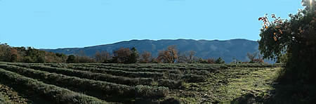 Luberon Vaucluse Provence location vente